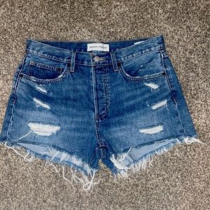 Aritzia Denim Forum Shorts